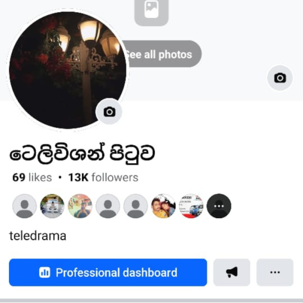 ටෙලිවිසන් පිටුව